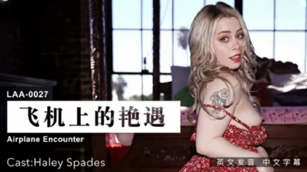 飞机上的艳遇